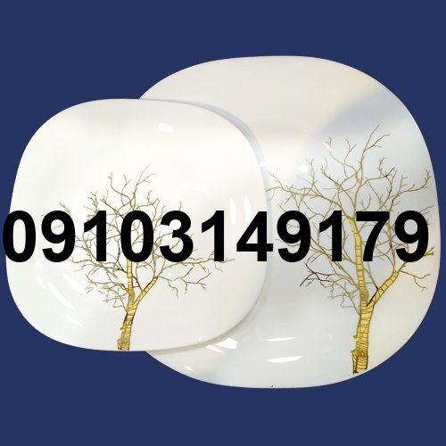 خرید آرکوپال در اصفهان_6