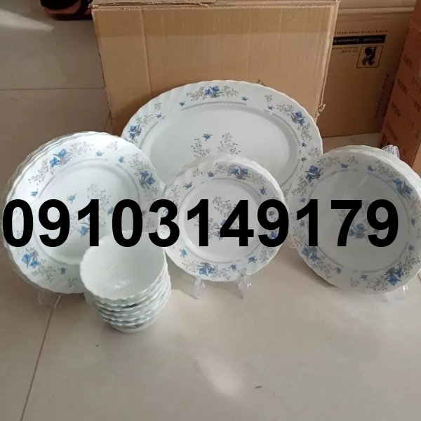 خرید ارکوپال گل ابی_1