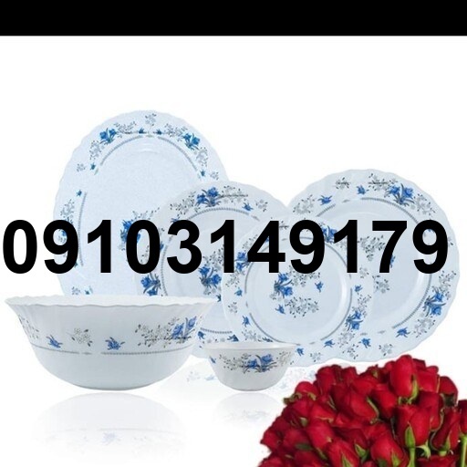 خرید ارکوپال گل ابی_10