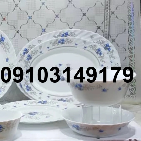 خرید ارکوپال گل ابی_4