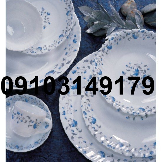 خرید ارکوپال گل ابی_5