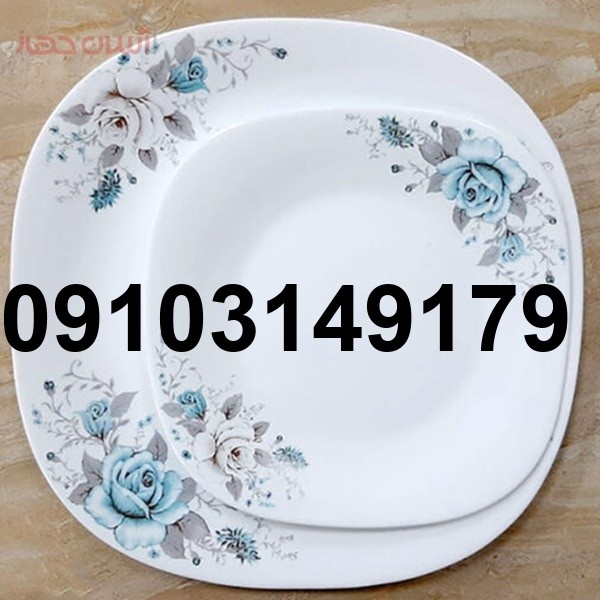 خرید ارکوپال گل ابی_7