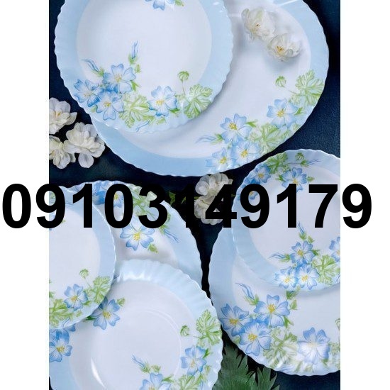 خرید ارکوپال گل ابی_9