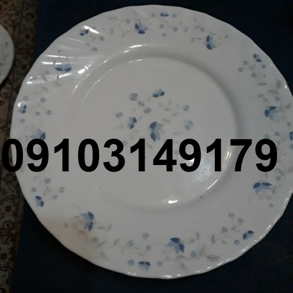 خرید بشقاب ارکوپال تکی_8