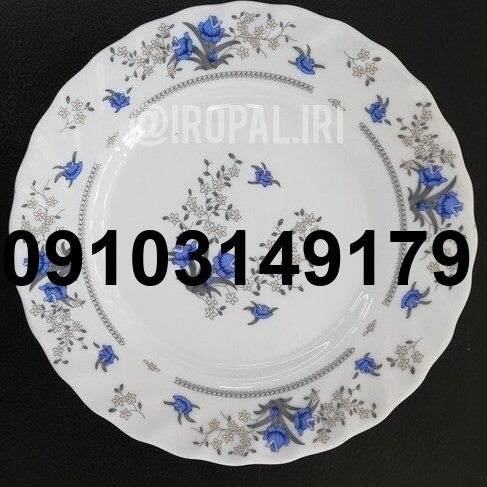 خرید بشقاب میوه خوری آرکوپال_3