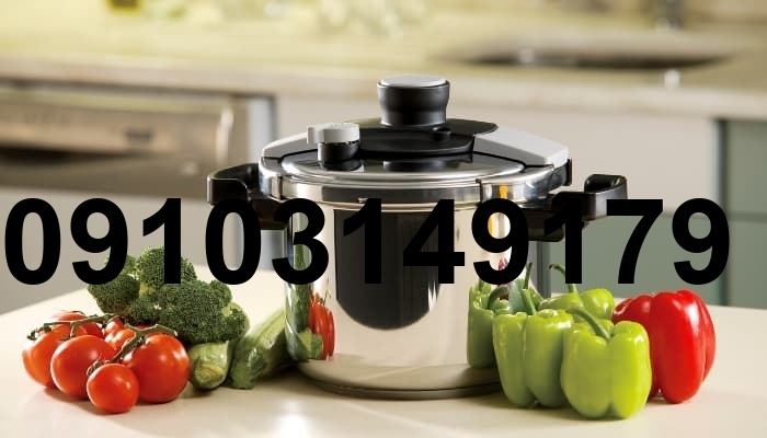 خرید دیگ زودپز پارس استیل_9