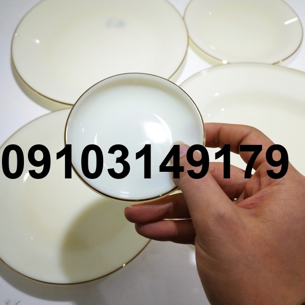 قیمت ارکوپال امریکایی جدید_10