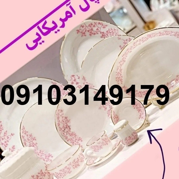 قیمت ارکوپال امریکایی جدید_2