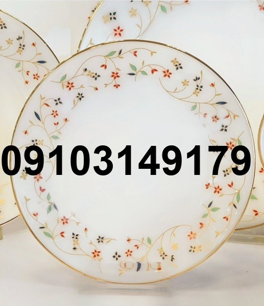 قیمت ارکوپال امریکایی جدید_5