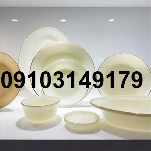 قیمت ارکوپال امریکایی جدید_7