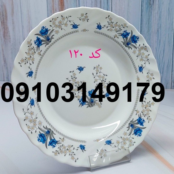 قیمت ارکوپال برنج خوری_10