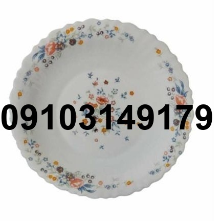 قیمت ارکوپال خورشت خوری_1