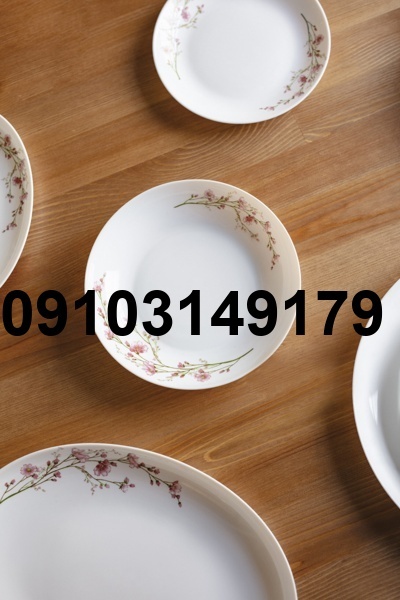 قیمت ارکوپال خورشت خوری_4