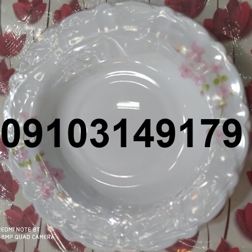 قیمت ارکوپال خورشت خوری_5