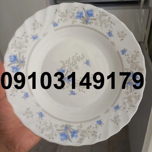 قیمت ارکوپال خورشت خوری_8