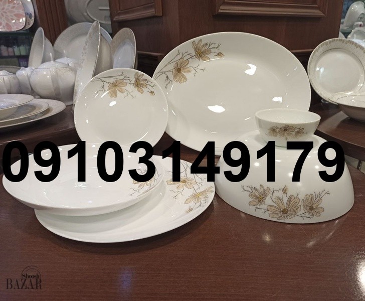 قیمت ارکوپال شوش_9
