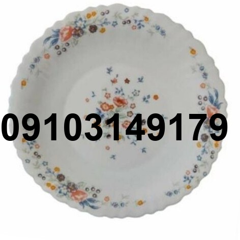 قیمت ارکوپال میوه خوری_5