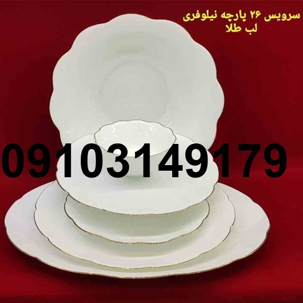 قیمت ارکوپال نیلوفری_1