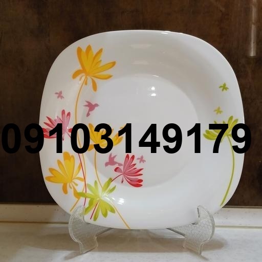 قیمت ارکوپال پلوخوری_3