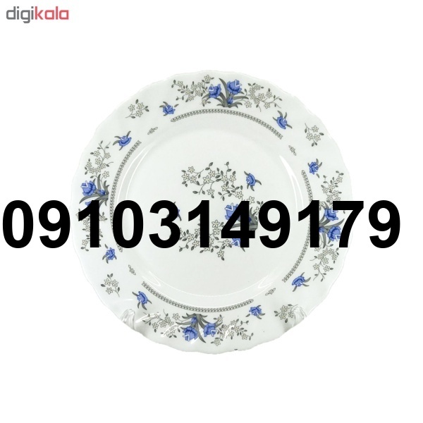 قیمت ارکوپال پیش دستی_2