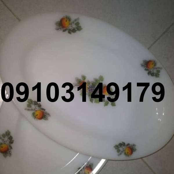 قیمت ارکوپال گل میوه فرانسه_5
