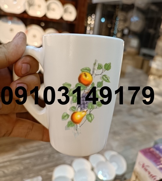 قیمت ارکوپال گل میوه فرانسه_6