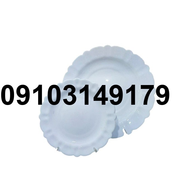 قیمت بشقاب آرکوپال تکی_5
