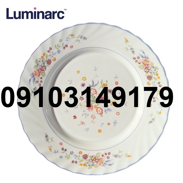 قیمت بشقاب غذاخوری آرکوپال فرانسه_7