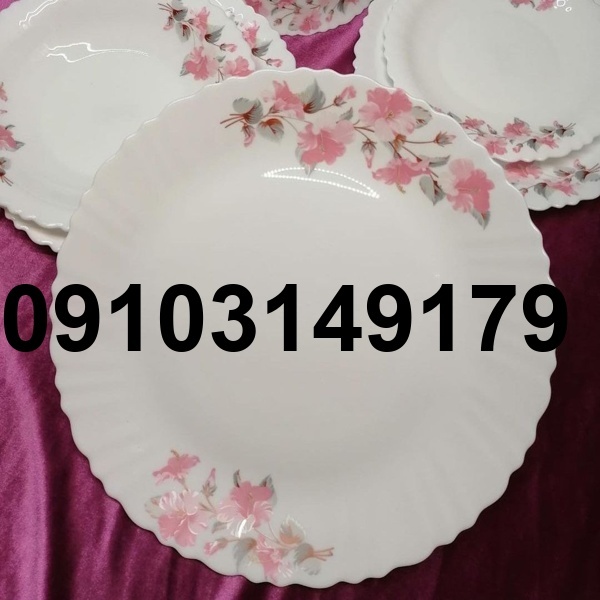 قیمت دیس آرکوپال گل صورتی_4