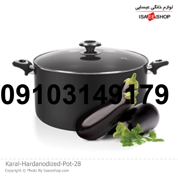 ارسال قابلمه کارال