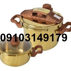 خرید زودپز تفال از بانه_6