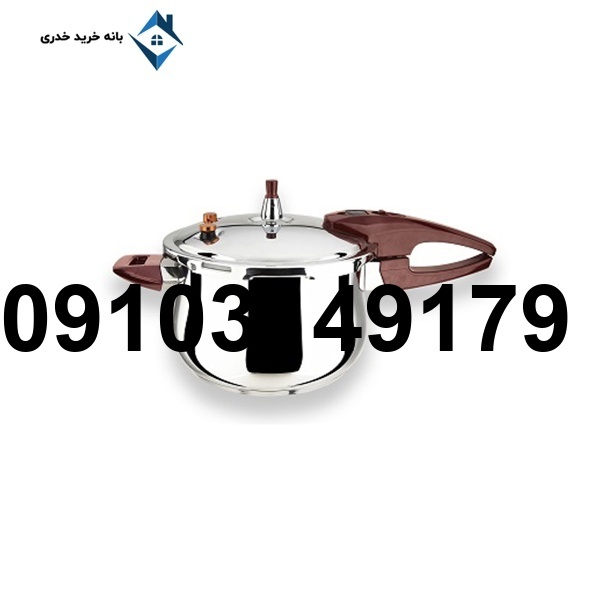 خرید زودپز دلمونتی_7