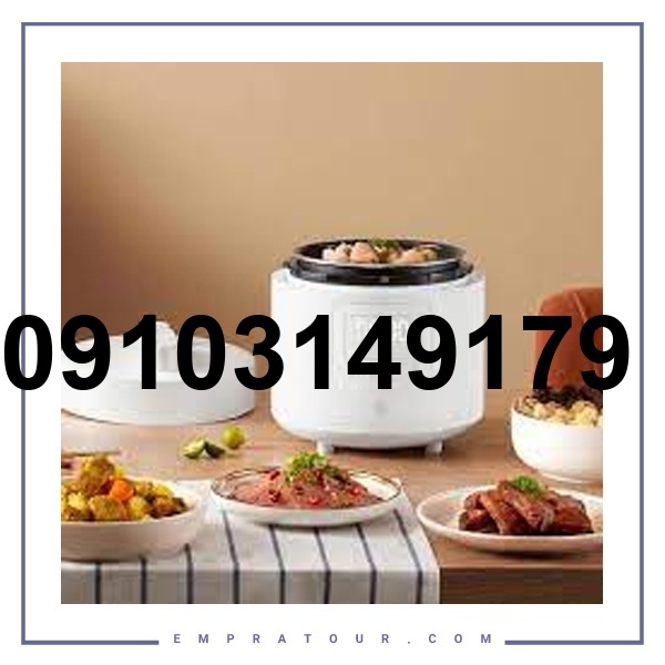 خرید زودپز شیائومی_10