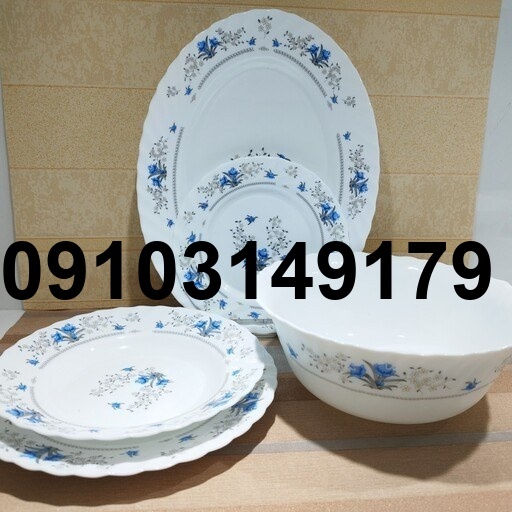 خرید سرویس آرکوپال ۱۲ نفره_2