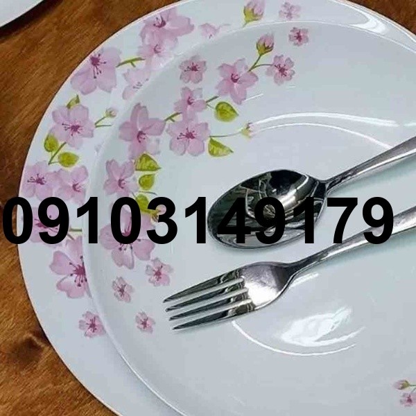 خرید سرویس بشقاب آرکوپال_10