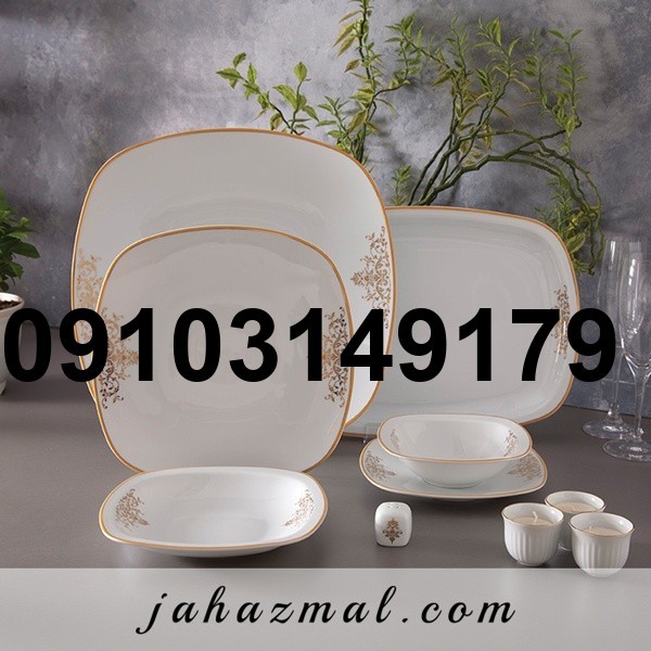 خرید سرویس چینی 6 نفره زرین_6
