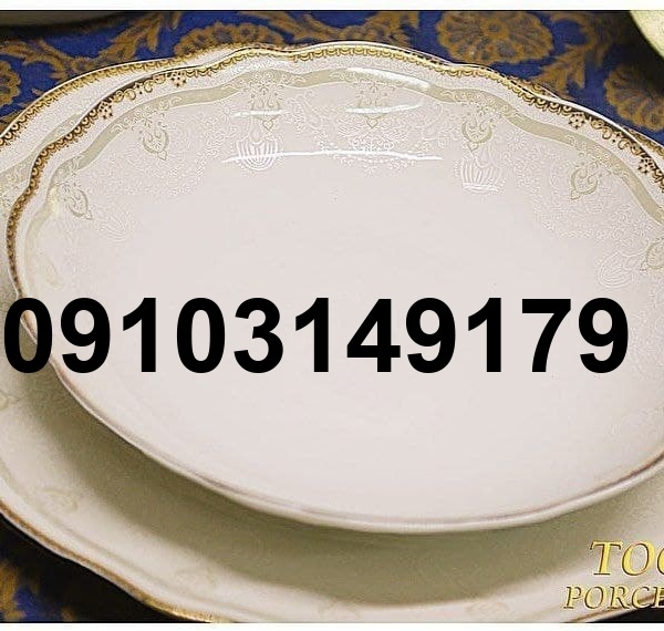 خرید سرویس چینی الیزابت_8
