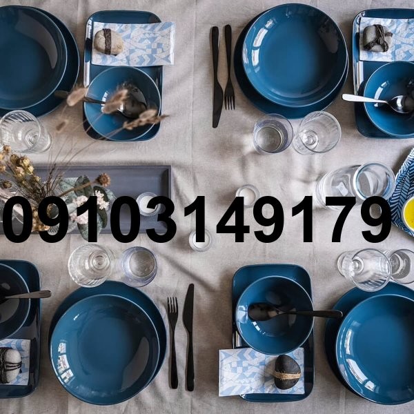 خرید سرویس چینی ایکیا_8