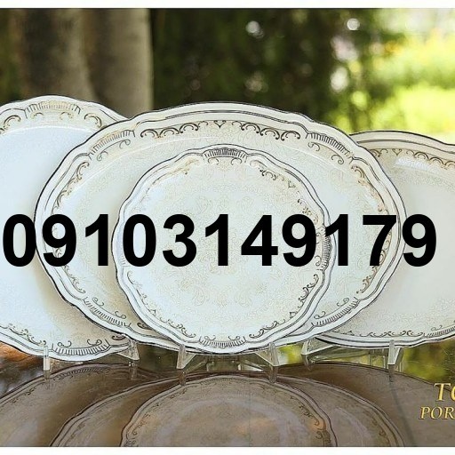 خرید سرویس چینی توس_8