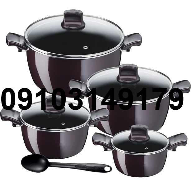 خرید قابلمه تفال اصل_1