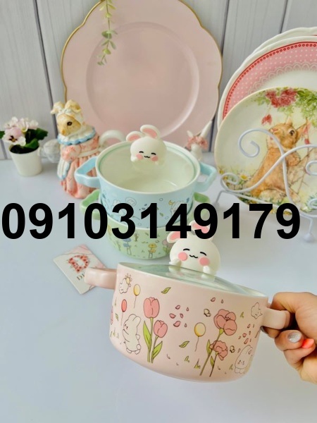 خرید قابلمه های فانتزی_4