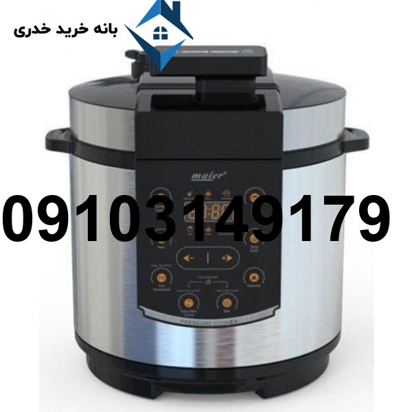 خرید پلوپز از بانه_2