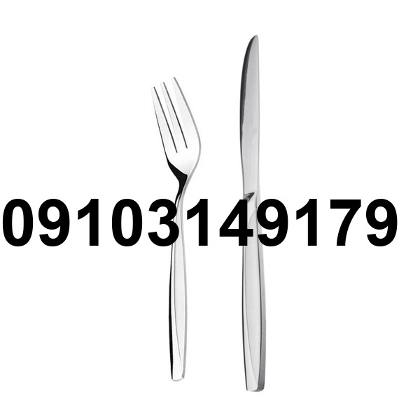 خرید کارد و چنگال میوه خوری یونیک_2