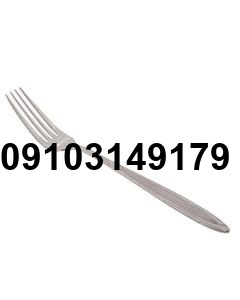 قیمت چنگال بزرگ_5