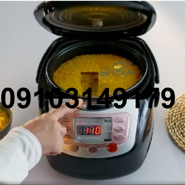 قیمت پلوپز آرام پز بخارپز آگرین_3